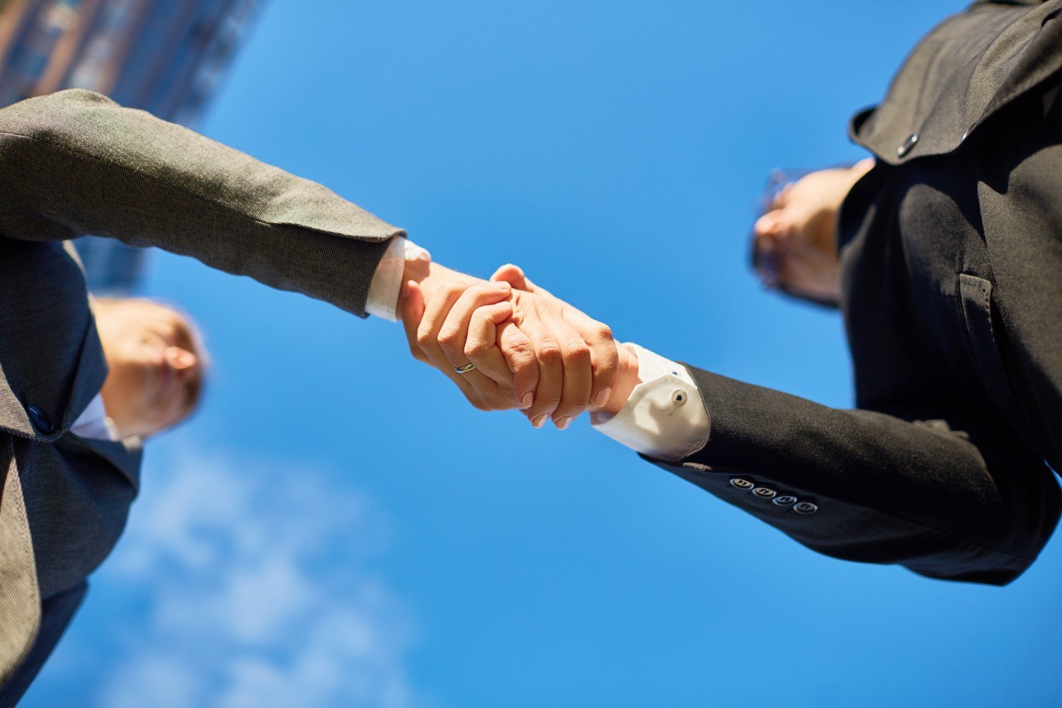 Hands of partners